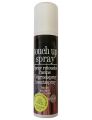 TOUCH UP SPRAY