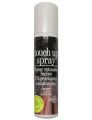 TOUCH UP SPRAY